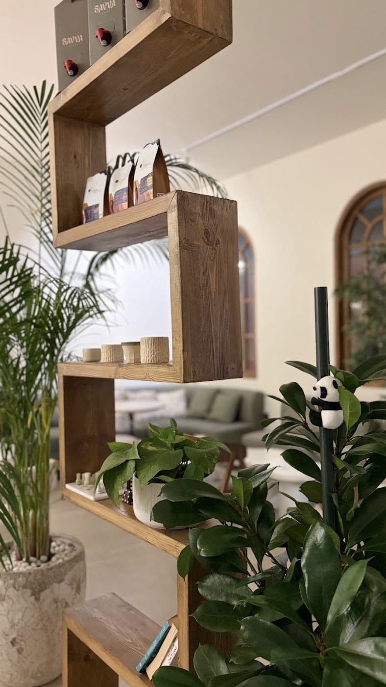 A wooden shelf inside SAVVA with bagged coffee beans, cups and plants, arched windows behind